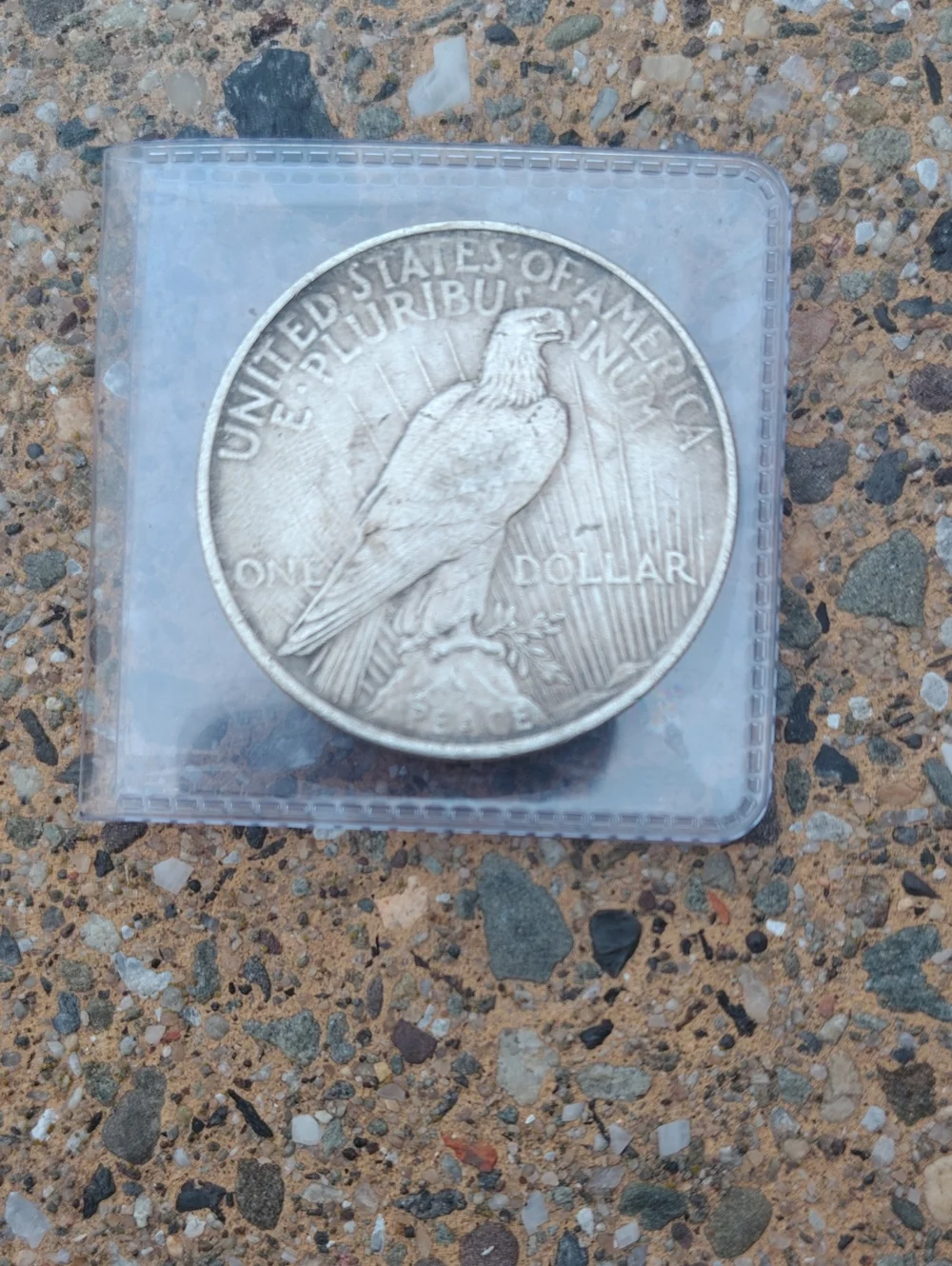 🌹🇺🇸1924 Silver Peace Dollar🇺🇸🌹